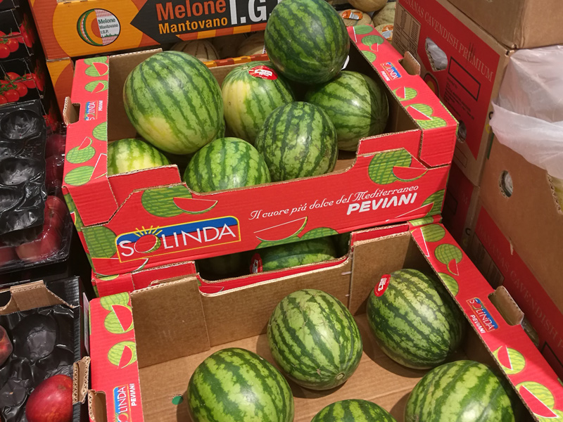 全自動紙箱成型機型號E3