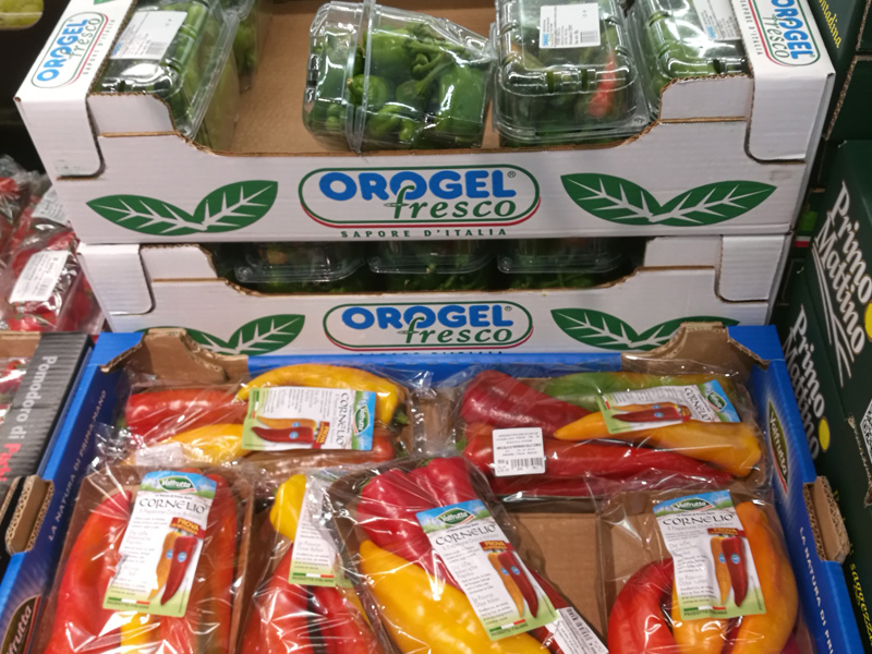 全自動紙箱成型機型號E3