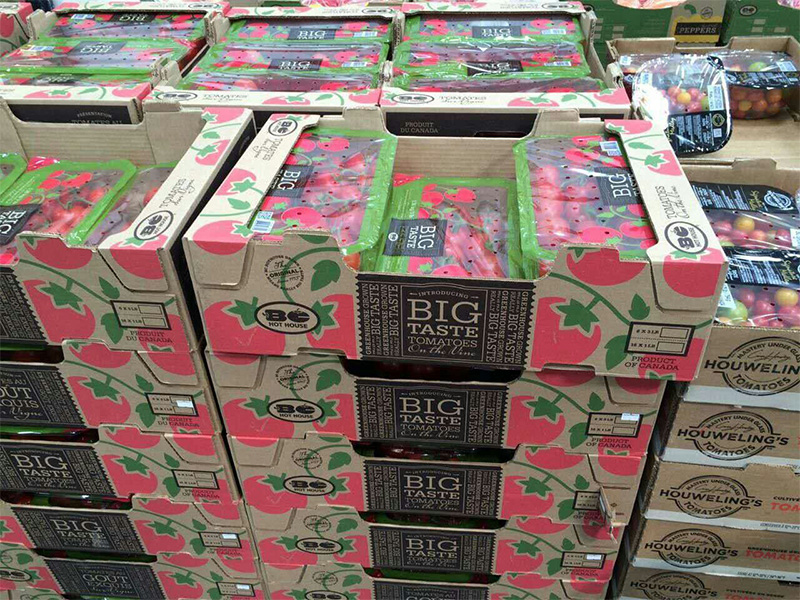 全自動紙箱成型機型號E3