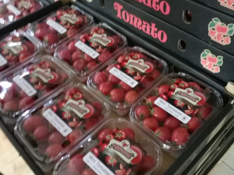 全自動紙箱成型機型號E3