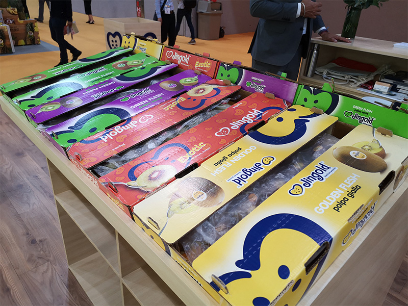 全自動紙箱成型機型號E3